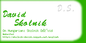 david skolnik business card